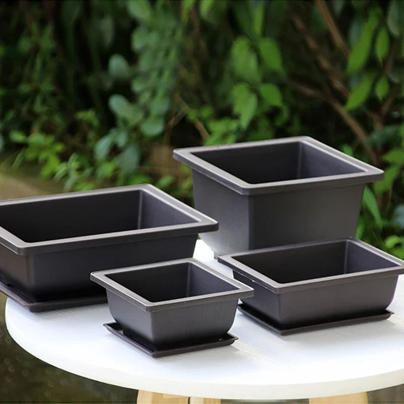 🌿 Old & Wise – Bonsai-Inspired Smart Planter