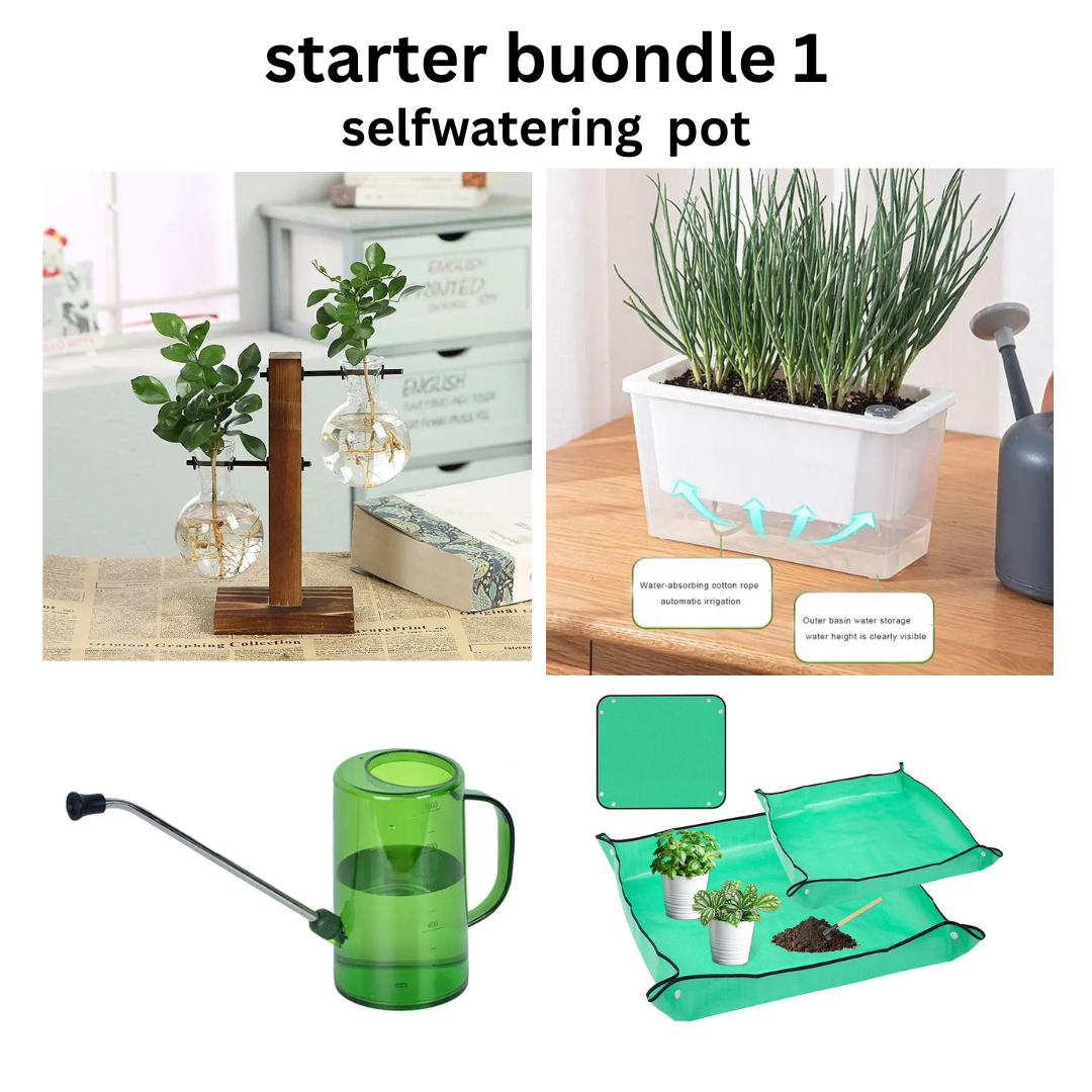 STARTER BUONDLE- (with 2 pots option ) WHAT R U WAITING FOR?!