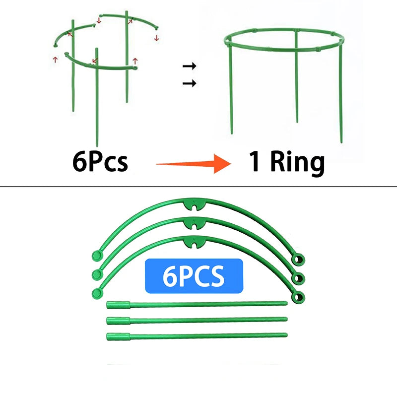 A pack of 24 green plant support rings displayed alongside a hand holding one of the rings, and a potted plant with flowers using one of the supports.