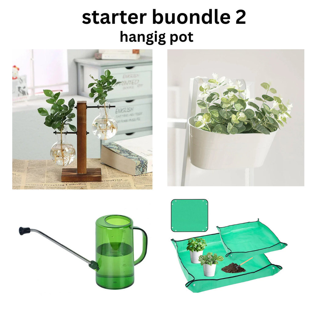 STARTER BUONDLE- (with 2 pots option ) WHAT R U WAITING FOR?!